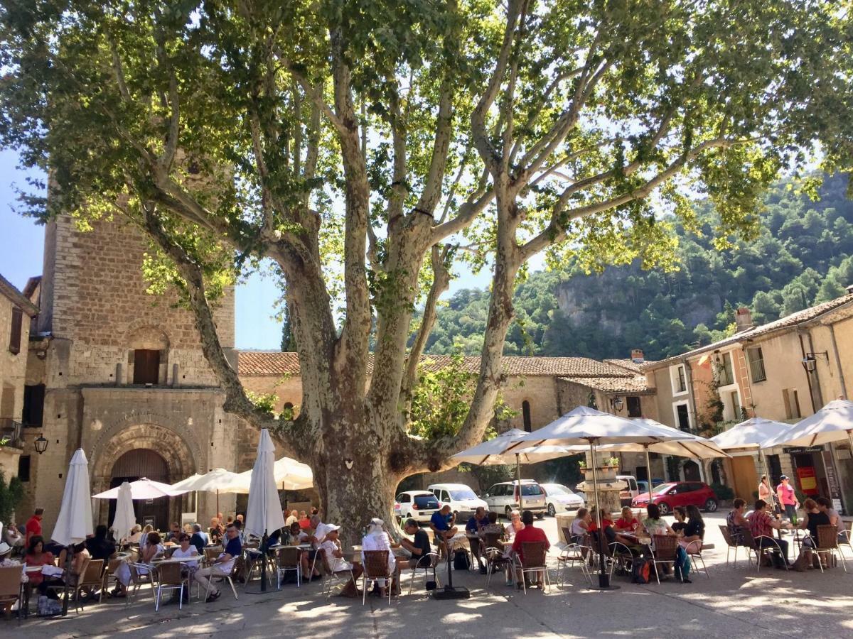 Charmante Maison A Saint Guilhem Le Desert Buitenkant foto