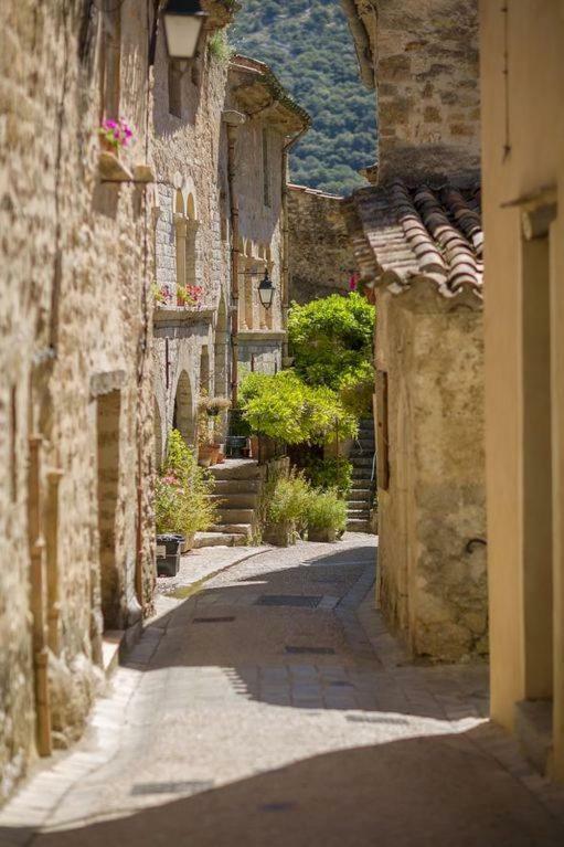 Charmante Maison A Saint Guilhem Le Desert Buitenkant foto